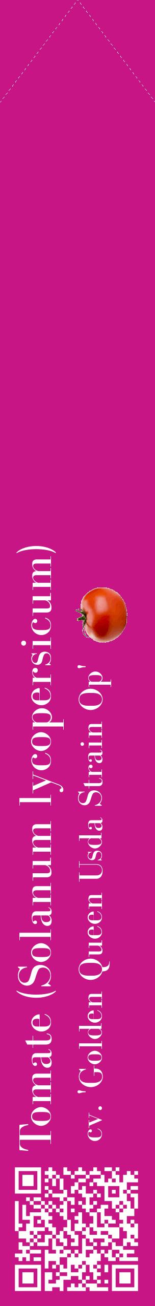 Étiquette de : Solanum lycopersicum cv. 'Golden Queen Usda Strain Op' - format c - style blanche45_simplebod avec qrcode et comestibilité simplifiée