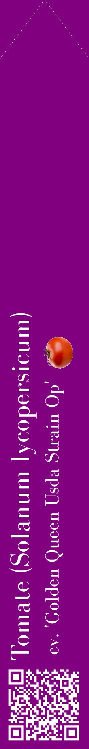 Étiquette de : Solanum lycopersicum cv. 'Golden Queen Usda Strain Op' - format c - style blanche46_simplebod avec qrcode et comestibilité simplifiée