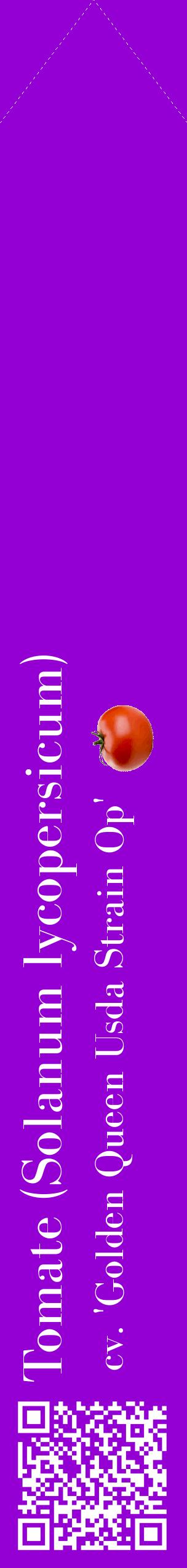 Étiquette de : Solanum lycopersicum cv. 'Golden Queen Usda Strain Op' - format c - style blanche48_simplebod avec qrcode et comestibilité simplifiée