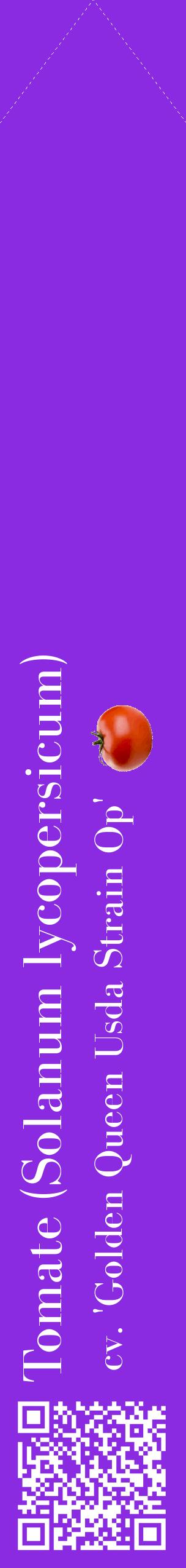 Étiquette de : Solanum lycopersicum cv. 'Golden Queen Usda Strain Op' - format c - style blanche49_simplebod avec qrcode et comestibilité simplifiée