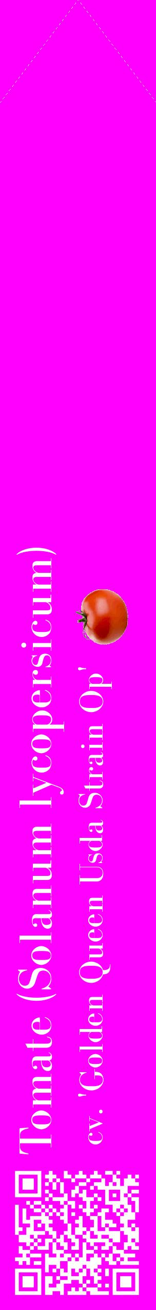 Étiquette de : Solanum lycopersicum cv. 'Golden Queen Usda Strain Op' - format c - style blanche51_simplebod avec qrcode et comestibilité simplifiée