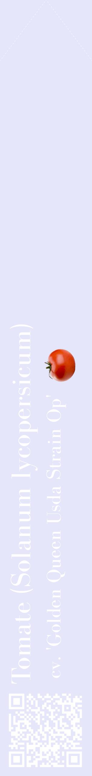 Étiquette de : Solanum lycopersicum cv. 'Golden Queen Usda Strain Op' - format c - style blanche55_simplebod avec qrcode et comestibilité simplifiée