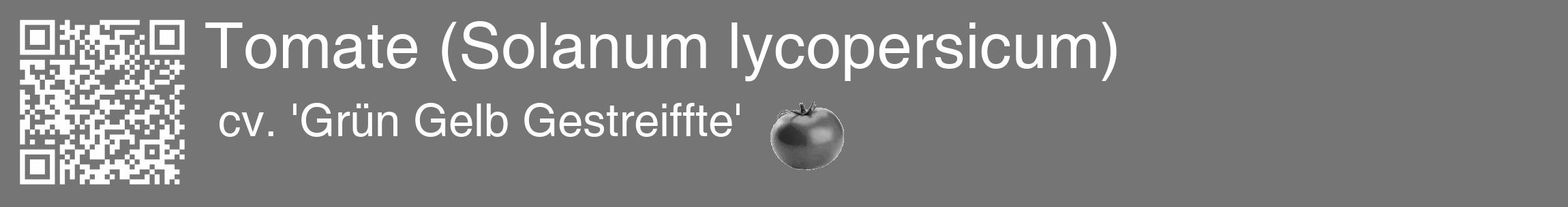 Étiquette de : Solanum lycopersicum cv. 'Grün Gelb Gestreiffte' - format c - style blanche5_basique_basiquehel avec qrcode et comestibilité simplifiée