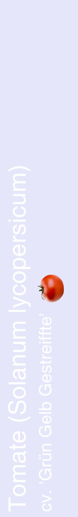 Étiquette de : Solanum lycopersicum cv. 'Grün Gelb Gestreiffte' - format c - style blanche55_basiquehel avec comestibilité simplifiée