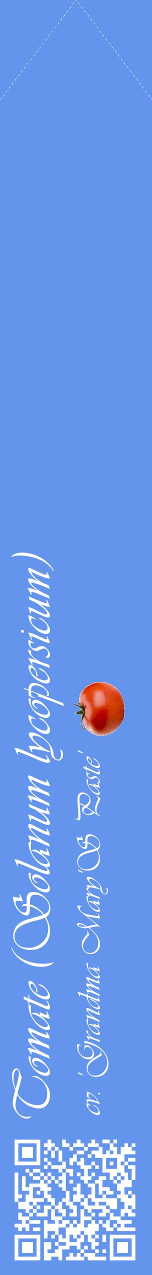 Étiquette de : Solanum lycopersicum cv. 'Grandma Mary'S Paste' - format c - style blanche4_simpleviv avec qrcode et comestibilité simplifiée