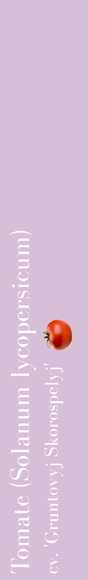 Étiquette de : Solanum lycopersicum cv. 'Gruntovyj Skorospelyj' - format c - style blanche54_basiquebod avec comestibilité simplifiée
