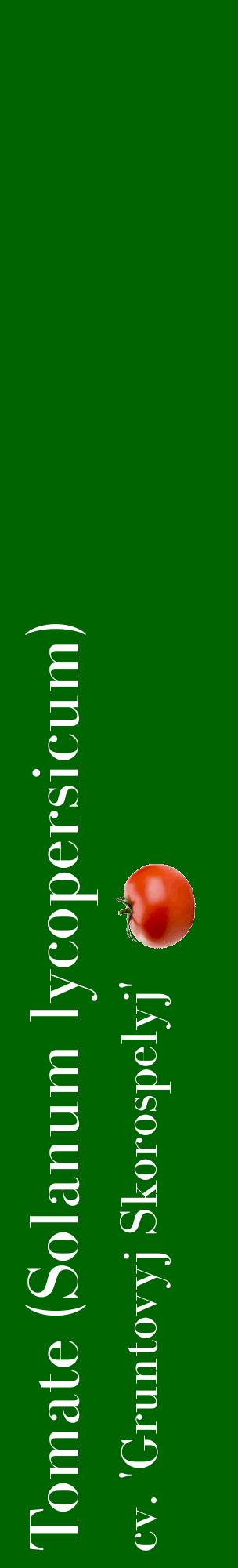 Étiquette de : Solanum lycopersicum cv. 'Gruntovyj Skorospelyj' - format c - style blanche8_basiquebod avec comestibilité simplifiée
