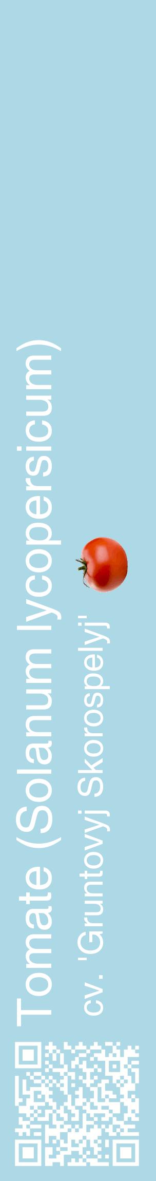 Étiquette de : Solanum lycopersicum cv. 'Gruntovyj Skorospelyj' - format c - style blanche0_basiquehel avec qrcode et comestibilité simplifiée