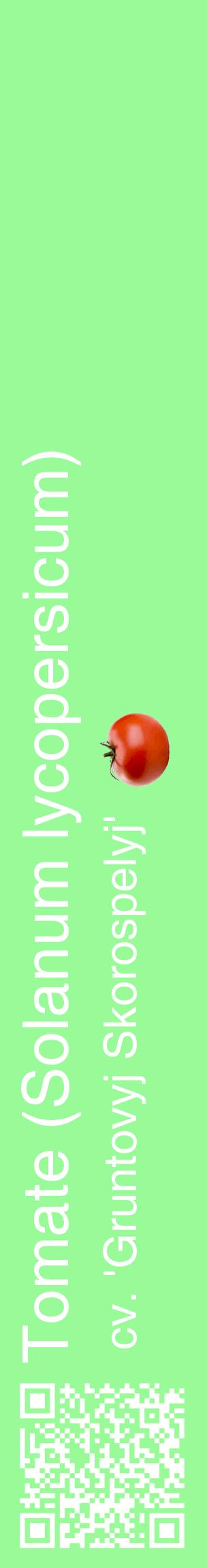 Étiquette de : Solanum lycopersicum cv. 'Gruntovyj Skorospelyj' - format c - style blanche14basique_basique_basiquehel avec qrcode et comestibilité simplifiée - position verticale
