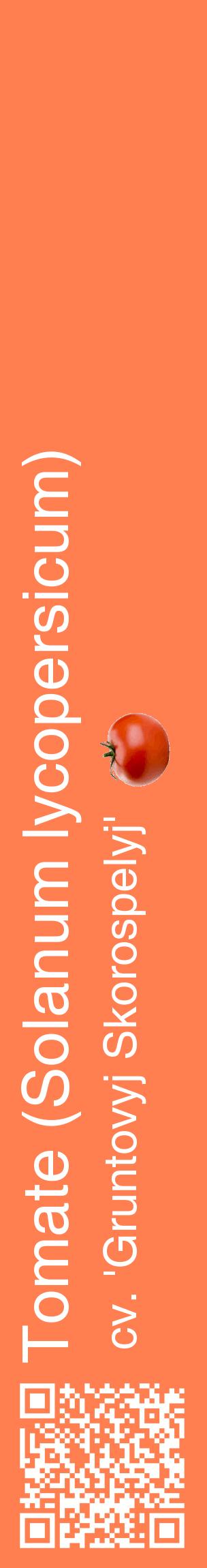 Étiquette de : Solanum lycopersicum cv. 'Gruntovyj Skorospelyj' - format c - style blanche24_basiquehel avec qrcode et comestibilité simplifiée