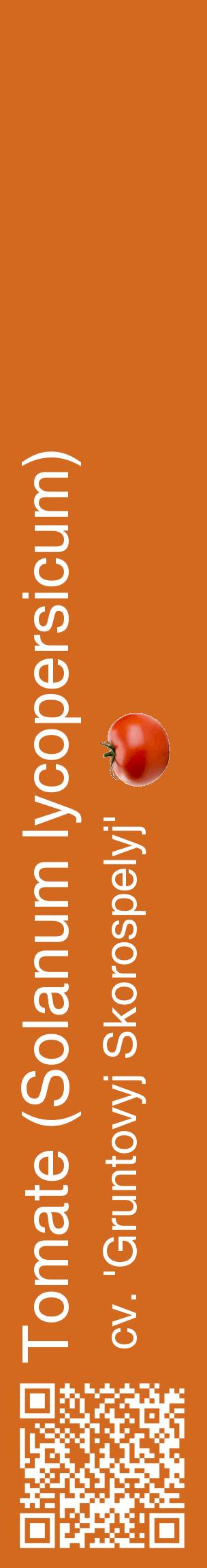 Étiquette de : Solanum lycopersicum cv. 'Gruntovyj Skorospelyj' - format c - style blanche31_basiquehel avec qrcode et comestibilité simplifiée