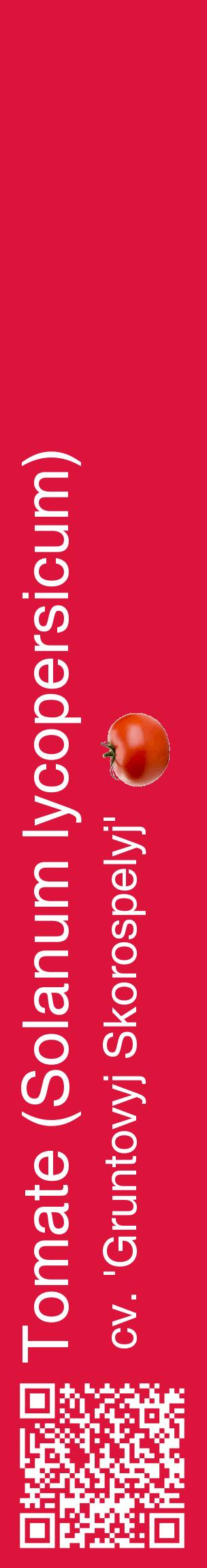 Étiquette de : Solanum lycopersicum cv. 'Gruntovyj Skorospelyj' - format c - style blanche36_basiquehel avec qrcode et comestibilité simplifiée