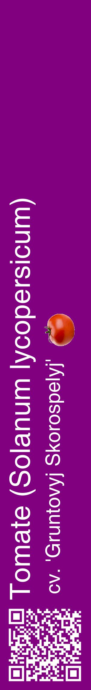 Étiquette de : Solanum lycopersicum cv. 'Gruntovyj Skorospelyj' - format c - style blanche46_basiquehel avec qrcode et comestibilité simplifiée