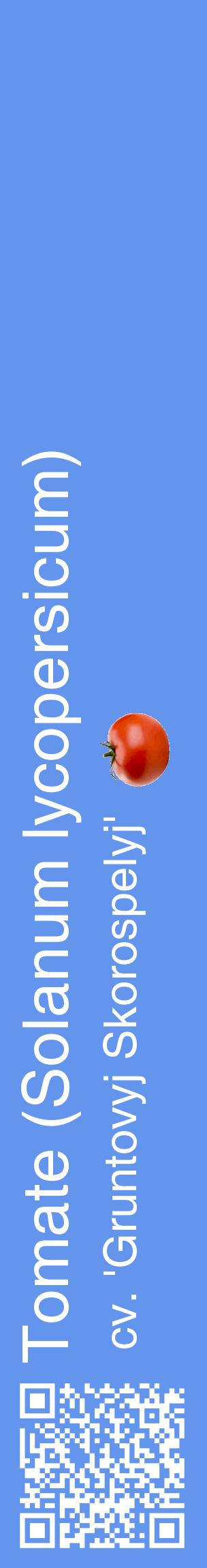 Étiquette de : Solanum lycopersicum cv. 'Gruntovyj Skorospelyj' - format c - style blanche4_basiquehel avec qrcode et comestibilité simplifiée
