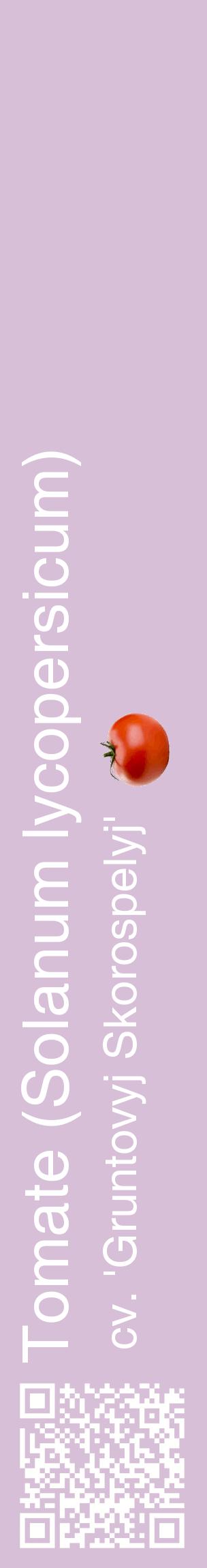 Étiquette de : Solanum lycopersicum cv. 'Gruntovyj Skorospelyj' - format c - style blanche54_basiquehel avec qrcode et comestibilité simplifiée