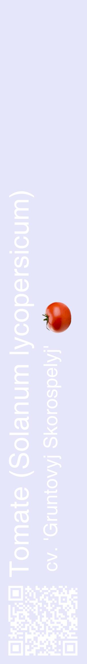 Étiquette de : Solanum lycopersicum cv. 'Gruntovyj Skorospelyj' - format c - style blanche55_basiquehel avec qrcode et comestibilité simplifiée