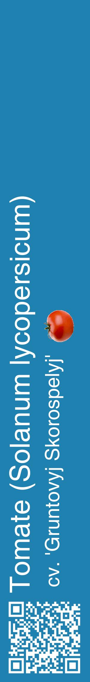 Étiquette de : Solanum lycopersicum cv. 'Gruntovyj Skorospelyj' - format c - style blanche6_basiquehel avec qrcode et comestibilité simplifiée