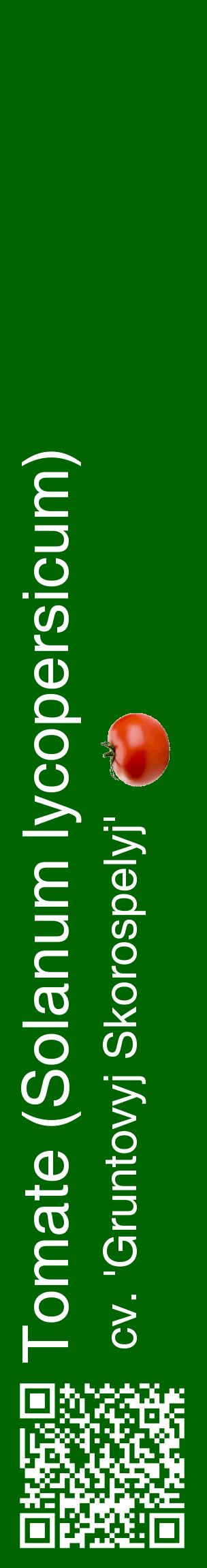 Étiquette de : Solanum lycopersicum cv. 'Gruntovyj Skorospelyj' - format c - style blanche8_basiquehel avec qrcode et comestibilité simplifiée