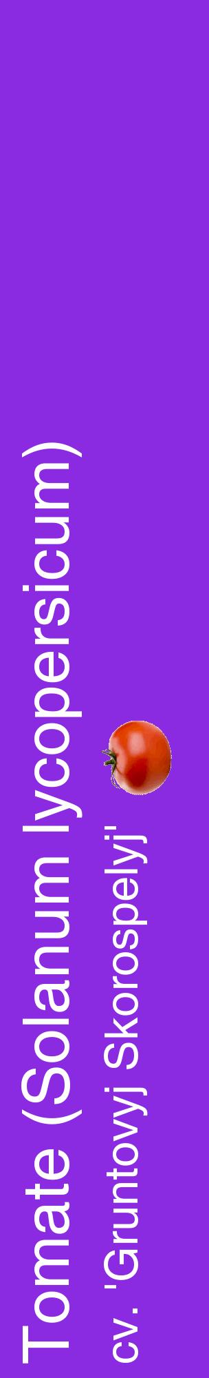 Étiquette de : Solanum lycopersicum cv. 'Gruntovyj Skorospelyj' - format c - style blanche49_basiquehel avec comestibilité simplifiée