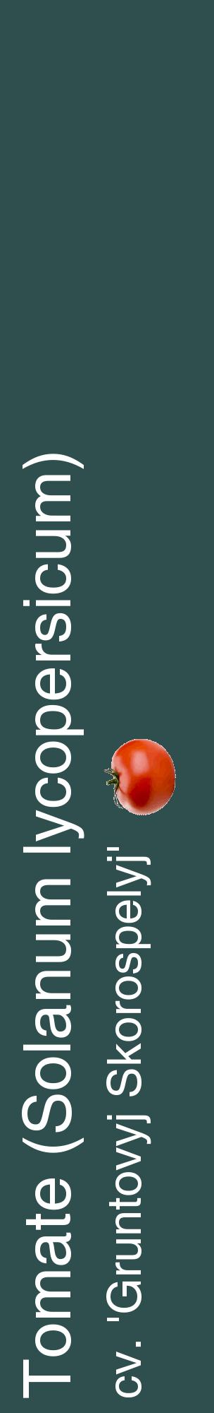 Étiquette de : Solanum lycopersicum cv. 'Gruntovyj Skorospelyj' - format c - style blanche58_basiquehel avec comestibilité simplifiée