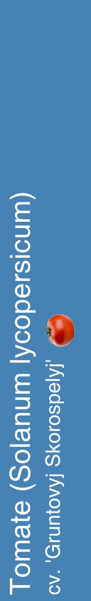 Étiquette de : Solanum lycopersicum cv. 'Gruntovyj Skorospelyj' - format c - style blanche5_basiquehel avec comestibilité simplifiée