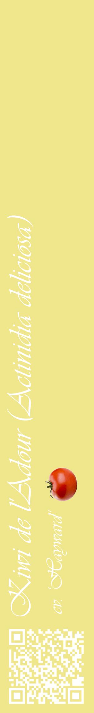 Étiquette de : Actinidia deliciosa cv. 'Hayward' - format c - style blanche20_basiqueviv avec qrcode et comestibilité simplifiée