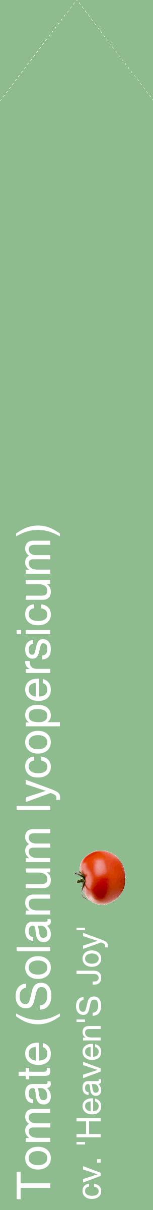 Étiquette de : Solanum lycopersicum cv. 'Heaven'S Joy' - format c - style blanche13_simplehel avec comestibilité simplifiée