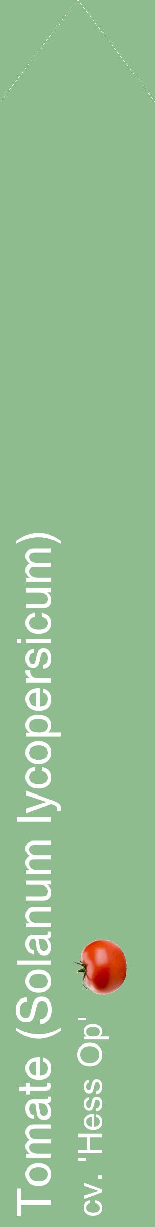 Étiquette de : Solanum lycopersicum cv. 'Hess Op' - format c - style blanche13_simplehel avec comestibilité simplifiée