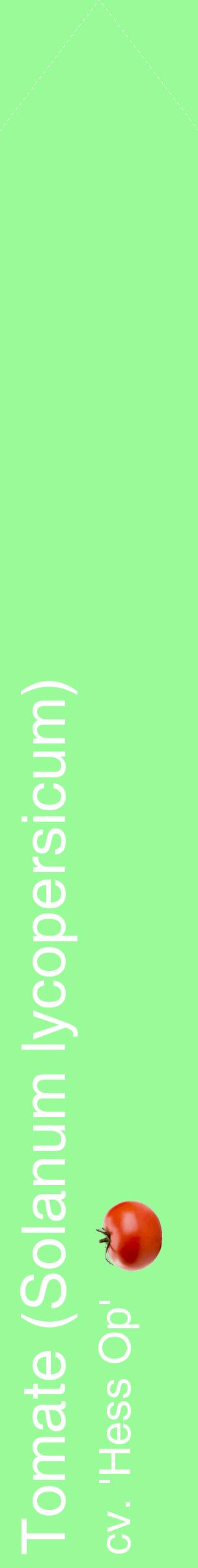Étiquette de : Solanum lycopersicum cv. 'Hess Op' - format c - style blanche14_simplehel avec comestibilité simplifiée
