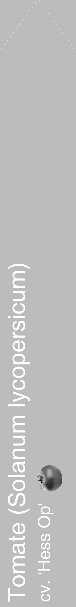 Étiquette de : Solanum lycopersicum cv. 'Hess Op' - format c - style blanche1_simple_simplehel avec comestibilité simplifiée - position verticale