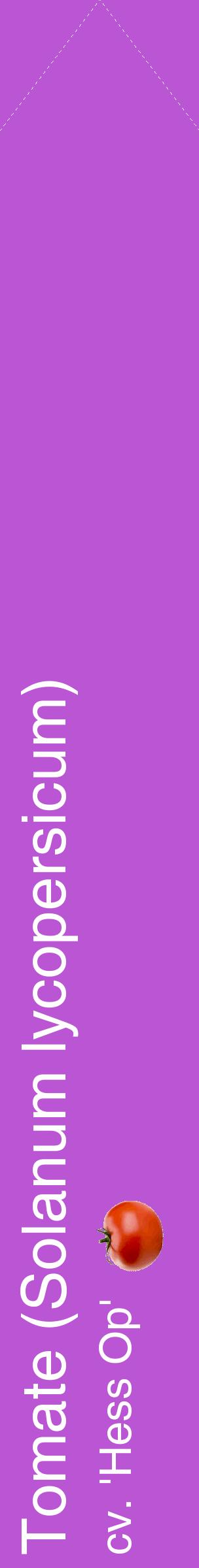 Étiquette de : Solanum lycopersicum cv. 'Hess Op' - format c - style blanche50_simplehel avec comestibilité simplifiée