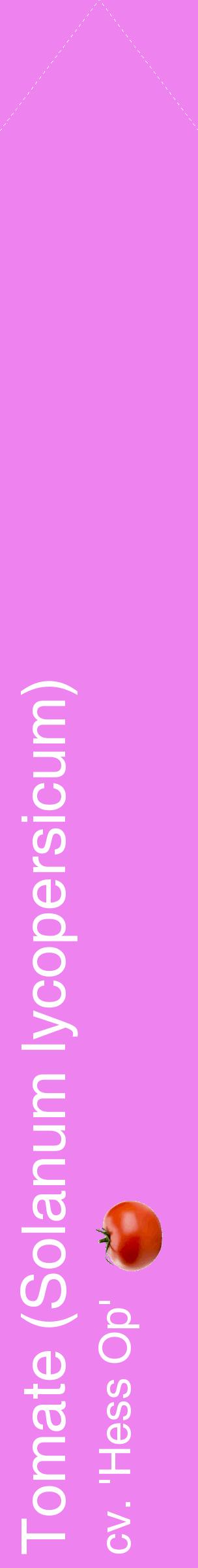Étiquette de : Solanum lycopersicum cv. 'Hess Op' - format c - style blanche53_simplehel avec comestibilité simplifiée