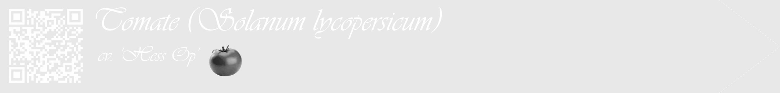 Étiquette de : Solanum lycopersicum cv. 'Hess Op' - format c - style blanche55_simple_simpleviv avec qrcode et comestibilité simplifiée
