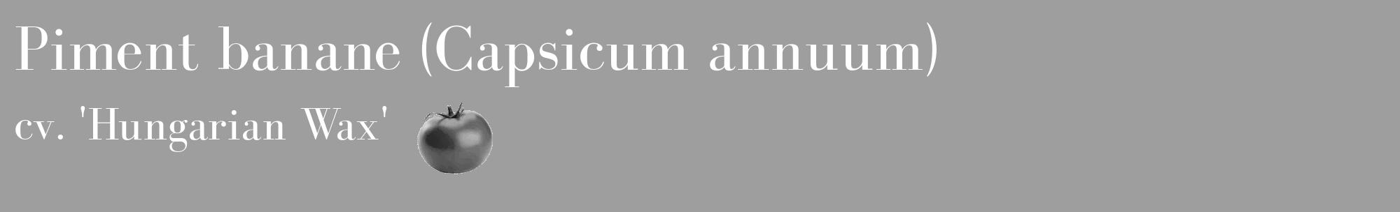 Étiquette de : Capsicum annuum cv. 'Hungarian Wax' - format c - style blanche42_basique_basiquebod avec comestibilité simplifiée
