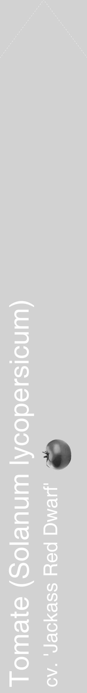 Étiquette de : Solanum lycopersicum cv. 'Jackass Red Dwarf' - format c - style blanche14simple_simple_simplehel avec comestibilité simplifiée - position verticale