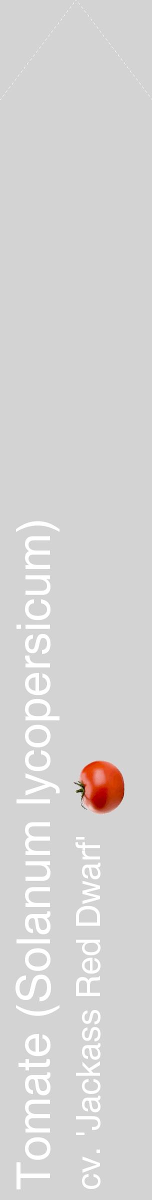 Étiquette de : Solanum lycopersicum cv. 'Jackass Red Dwarf' - format c - style blanche56_simplehel avec comestibilité simplifiée