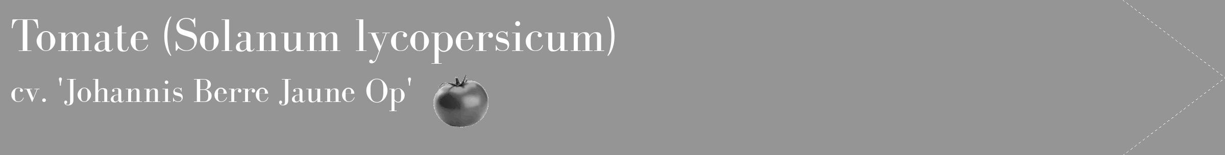 Étiquette de : Solanum lycopersicum cv. 'Johannis Berre Jaune Op' - format c - style blanche16_simple_simplebod avec comestibilité simplifiée