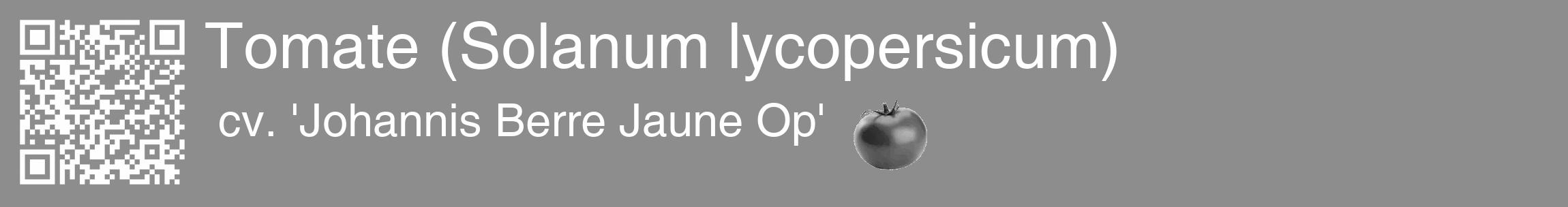 Étiquette de : Solanum lycopersicum cv. 'Johannis Berre Jaune Op' - format c - style blanche2_basique_basiquehel avec qrcode et comestibilité simplifiée