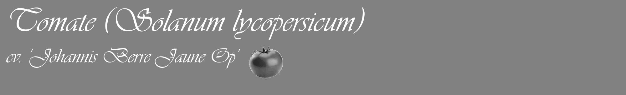 Étiquette de : Solanum lycopersicum cv. 'Johannis Berre Jaune Op' - format c - style blanche50_basique_basiqueviv avec comestibilité simplifiée