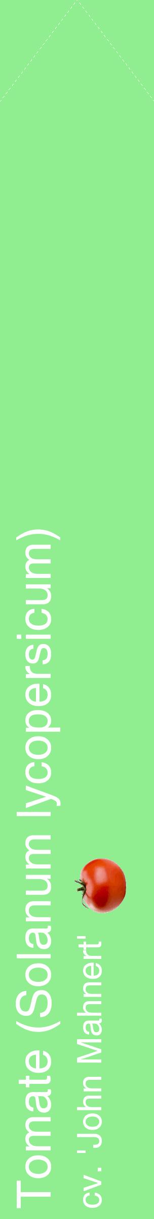 Étiquette de : Solanum lycopersicum cv. 'John Mahnert' - format c - style blanche15_simplehel avec comestibilité simplifiée