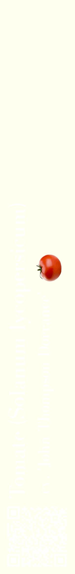 Étiquette de : Solanum lycopersicum cv. 'John Thompson Dorrance' - format c - style blanche19_basiquebod avec qrcode et comestibilité simplifiée