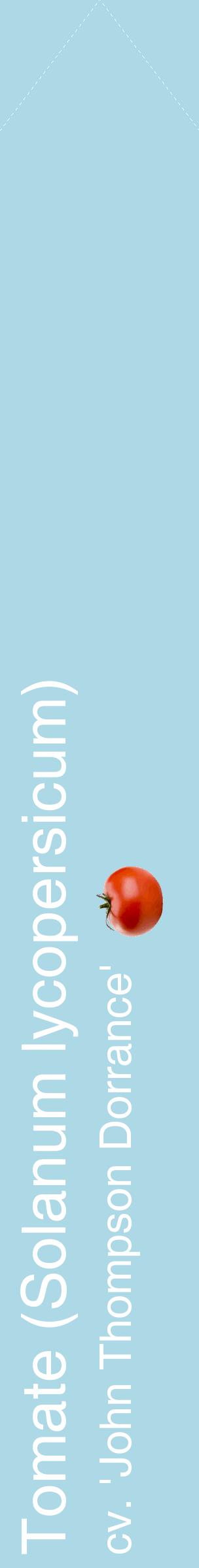 Étiquette de : Solanum lycopersicum cv. 'John Thompson Dorrance' - format c - style blanche0_simplehel avec comestibilité simplifiée