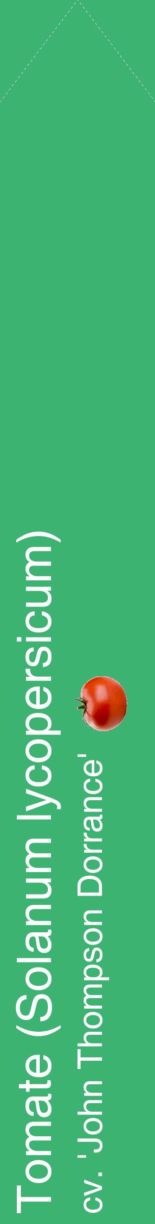Étiquette de : Solanum lycopersicum cv. 'John Thompson Dorrance' - format c - style blanche12_simplehel avec comestibilité simplifiée