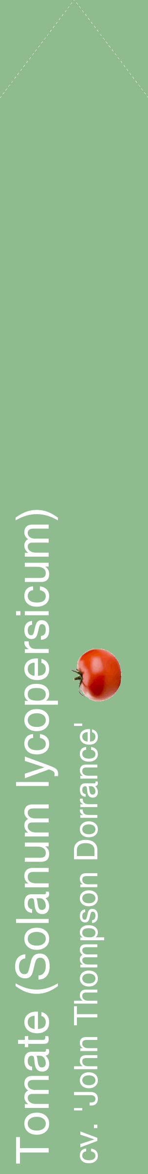 Étiquette de : Solanum lycopersicum cv. 'John Thompson Dorrance' - format c - style blanche13_simplehel avec comestibilité simplifiée