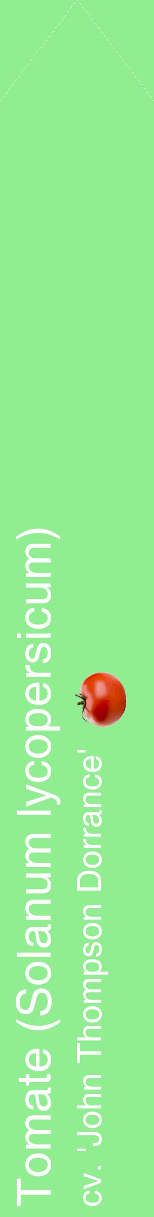 Étiquette de : Solanum lycopersicum cv. 'John Thompson Dorrance' - format c - style blanche15_simplehel avec comestibilité simplifiée