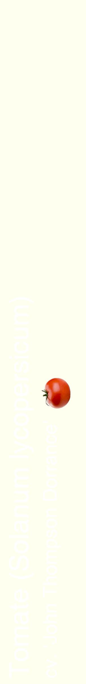 Étiquette de : Solanum lycopersicum cv. 'John Thompson Dorrance' - format c - style blanche19_simplehel avec comestibilité simplifiée
