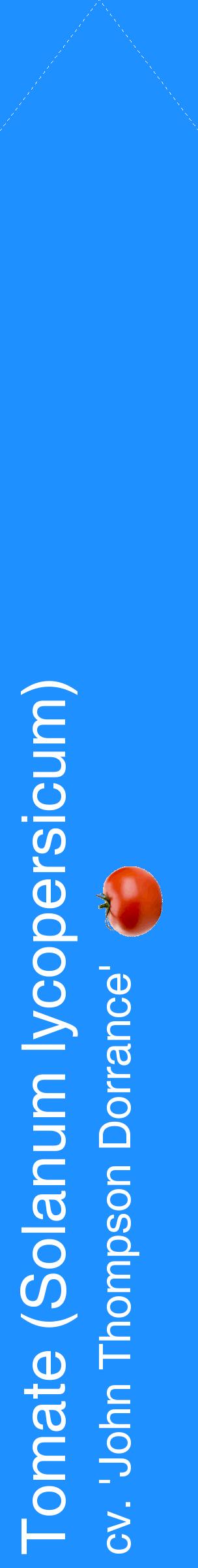 Étiquette de : Solanum lycopersicum cv. 'John Thompson Dorrance' - format c - style blanche3_simplehel avec comestibilité simplifiée