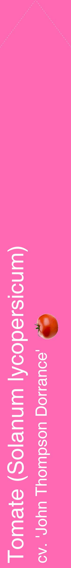 Étiquette de : Solanum lycopersicum cv. 'John Thompson Dorrance' - format c - style blanche42_simplehel avec comestibilité simplifiée