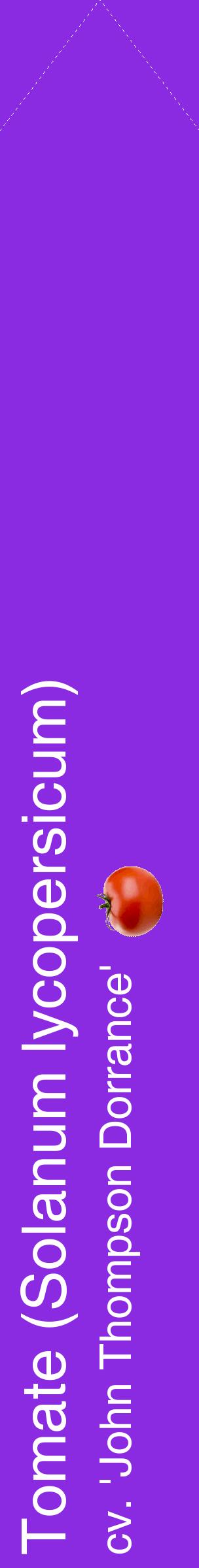 Étiquette de : Solanum lycopersicum cv. 'John Thompson Dorrance' - format c - style blanche49_simplehel avec comestibilité simplifiée