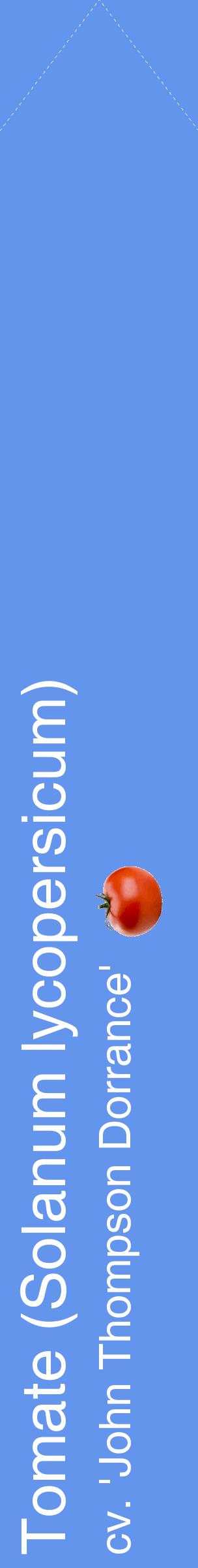 Étiquette de : Solanum lycopersicum cv. 'John Thompson Dorrance' - format c - style blanche4_simplehel avec comestibilité simplifiée